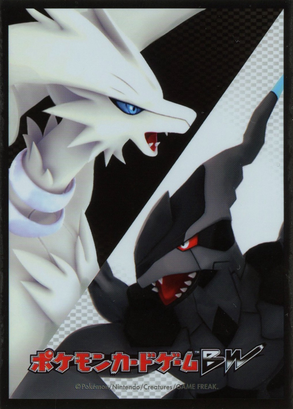 Reshiram & Zekrom
