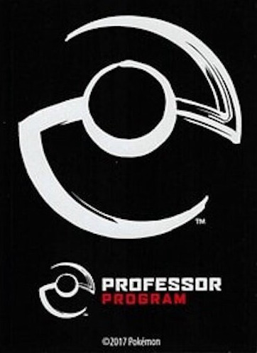 Professor Program