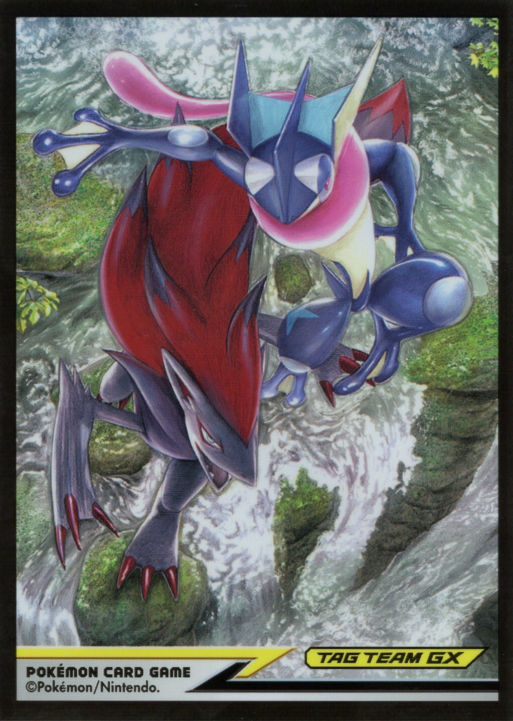 Greninja & Zoroark (Tag Team GX)