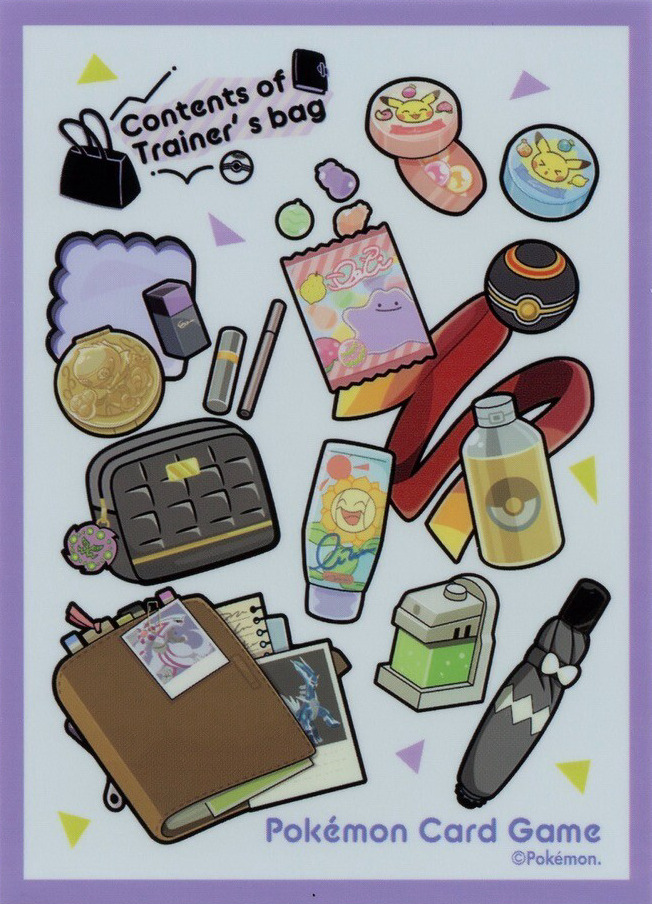 Contents of Trainer's Bag (PL)
