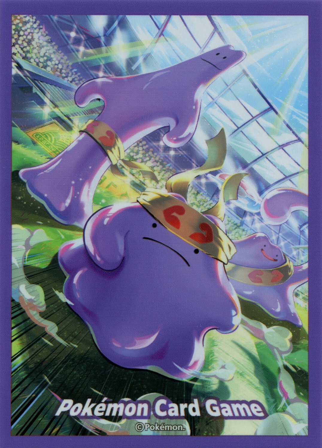Go! Go! Ditto!