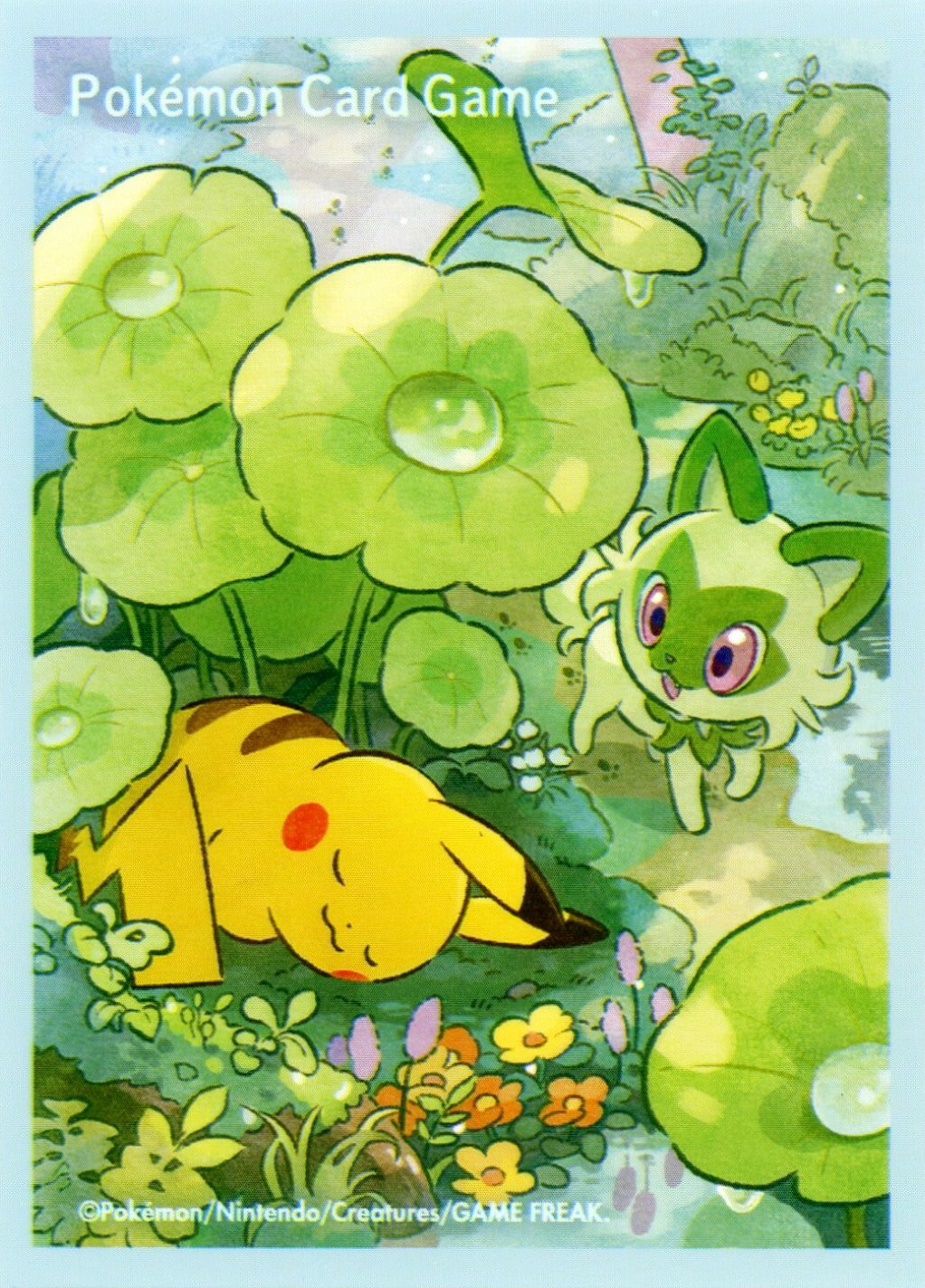 Pikachu & Sprigatito