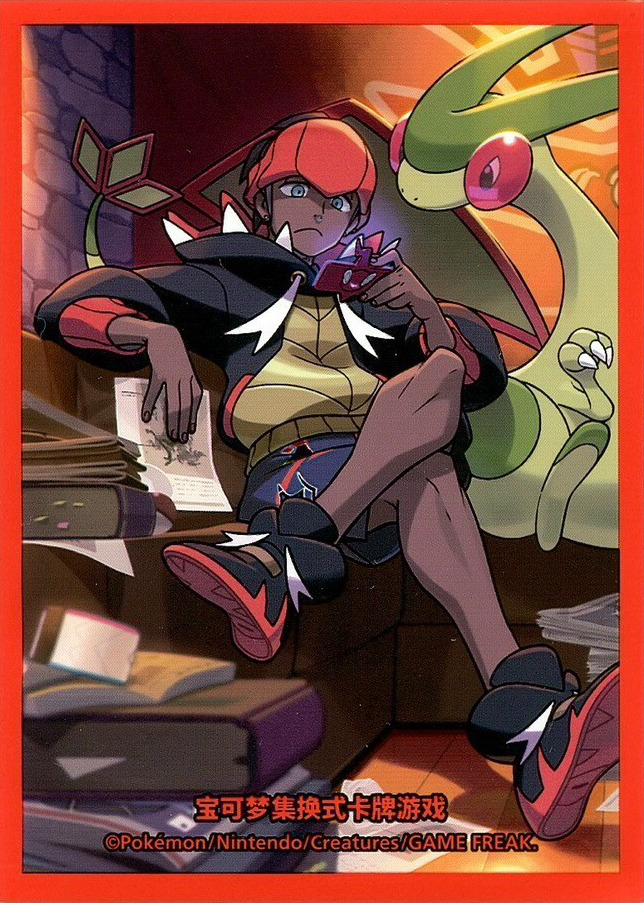 Raihan (Trainer Collection Gift Box)