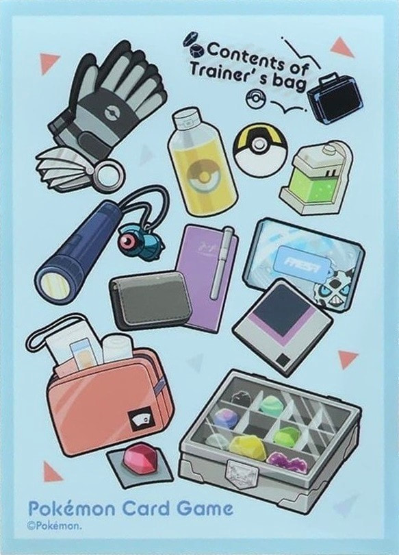 Contents of Trainer's Bag (GR)